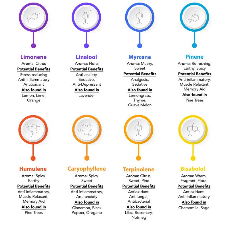 terpene guide breakdown