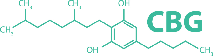 CBG cannabinoid graphic