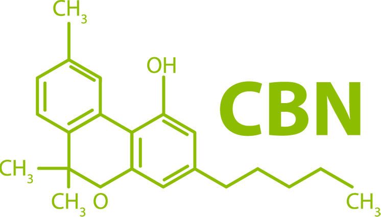 CBN cannabinoid graphic