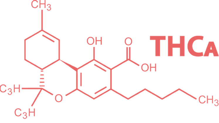 THCa cannabinoid