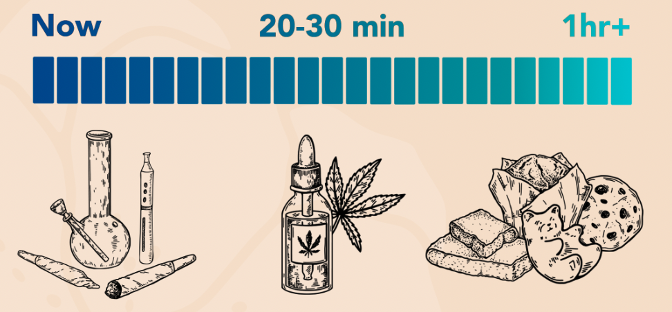 marijuana onset times infographic