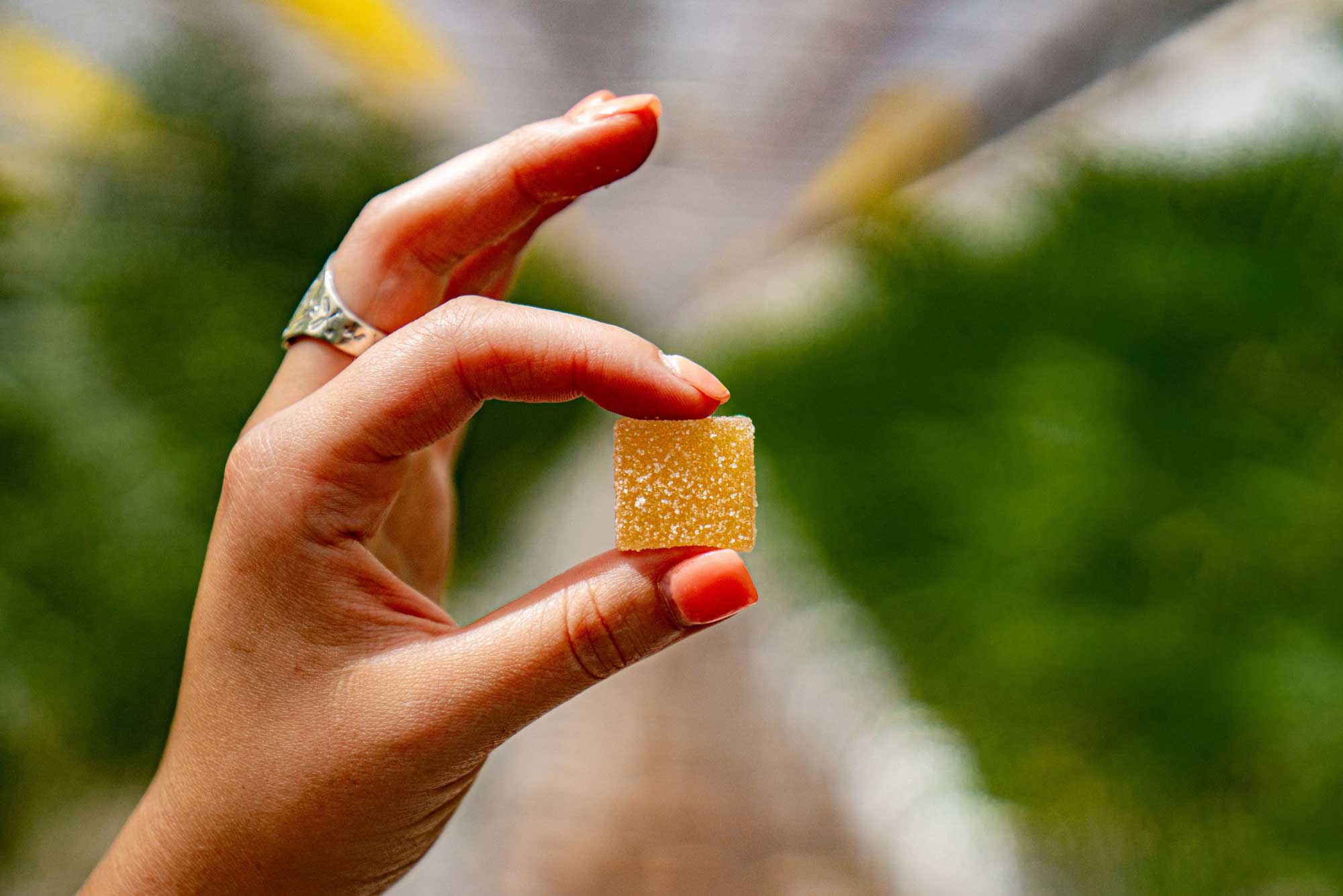 edibles marijuana gummy