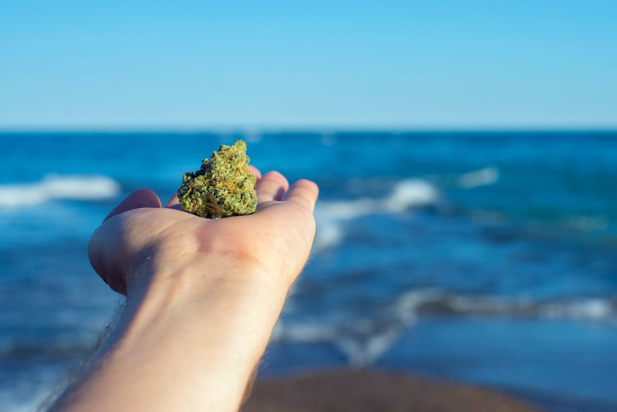 Hand holding a cannabis nug against ocean waves and blue sky landscape - medical marijuana concept