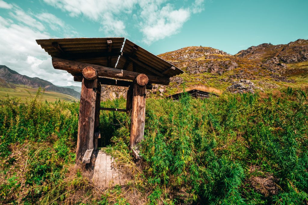 Wide-angle shooting of wooden shaft well in mountains surrounded by cannabis and fleabane native grasses with hill ridge and valley behind; view of abandoned dug well on a sunny summer day, Altai